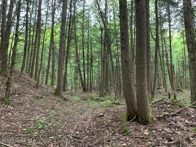Trout Falls Road, Bolton Landing, New York image 12