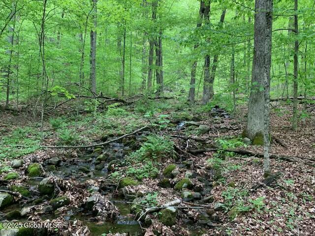 Trout Falls Road, Bolton Landing, New York image 5