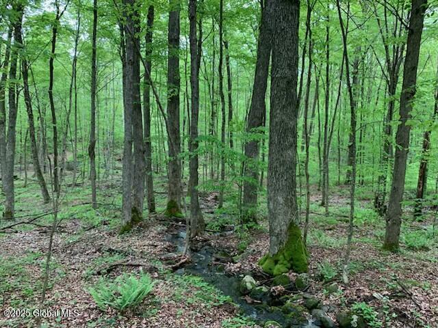 Trout Falls Road, Bolton Landing, New York image 4