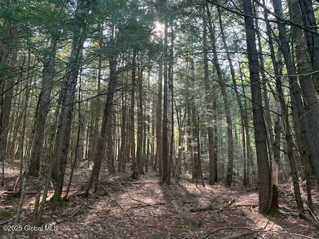 Trout Falls Road, Bolton Landing, New York image 9