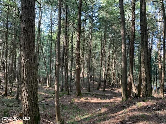 Trout Falls Road, Bolton Landing, New York image 11