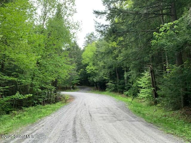 Trout Falls Road, Bolton Landing, New York image 1