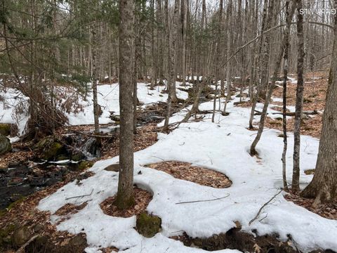 Vacant Land For Sale - 277 Roaring Branch Road<br/> Warren County, Stony Creek, NY 12878