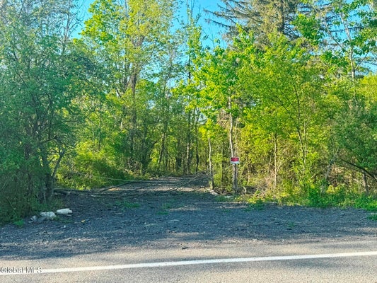 BEAVER DAM RD, VOORHEESVILLE, NY 12186 - Image 9e7774361ae9676476b95a3d111fb2cf/3172152303