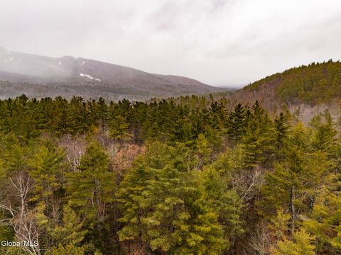 Vacant Land For Sale - 206 Mountain Path<br/> Johnsburg, NY 12853