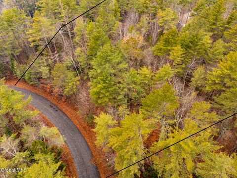 Photo of 206 Mountain Path, Johnsburg, NY 12853 (MLS # 202529783)