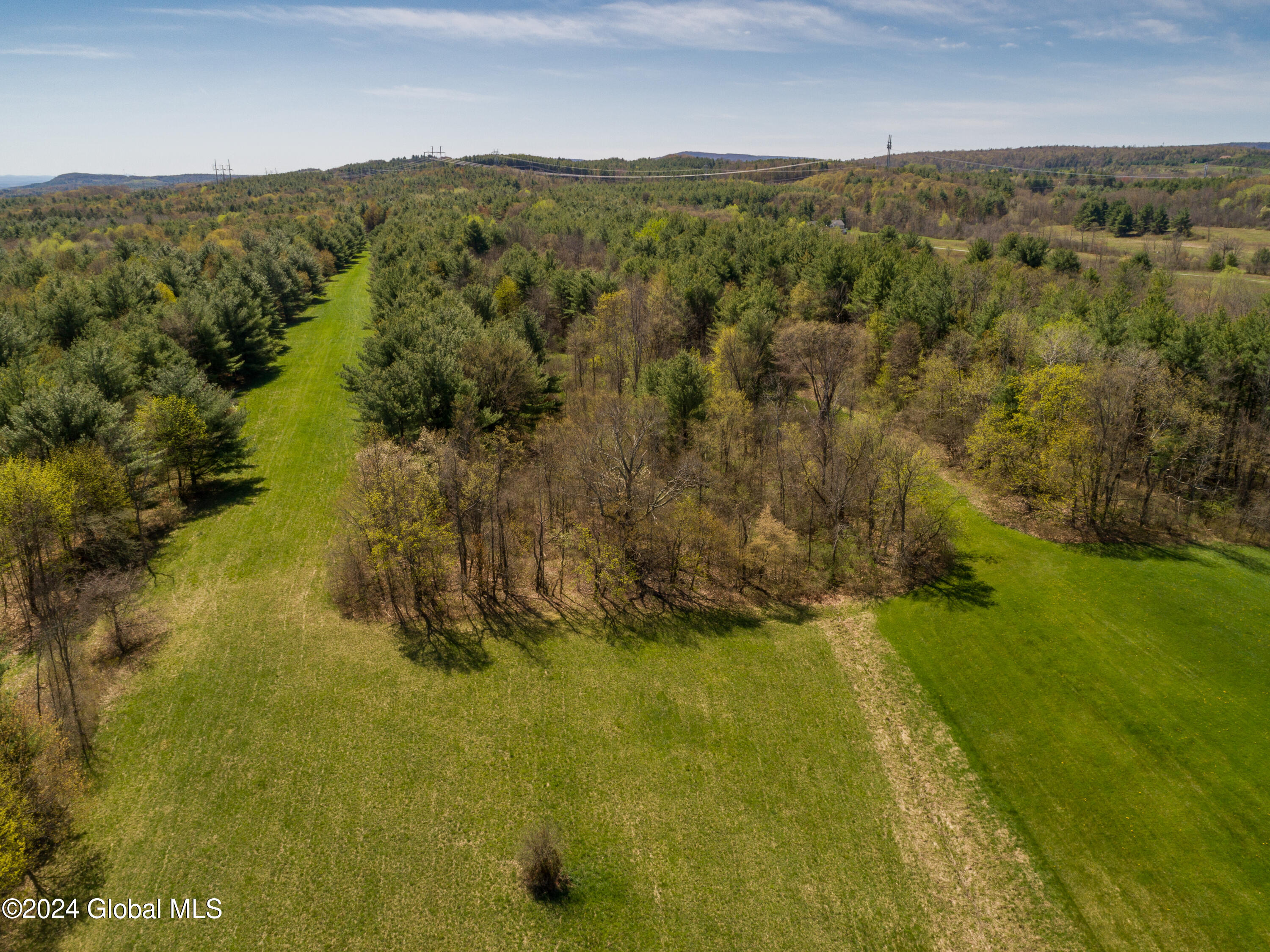 L40.2 Bullock Road, Slingerlands, New York image 6