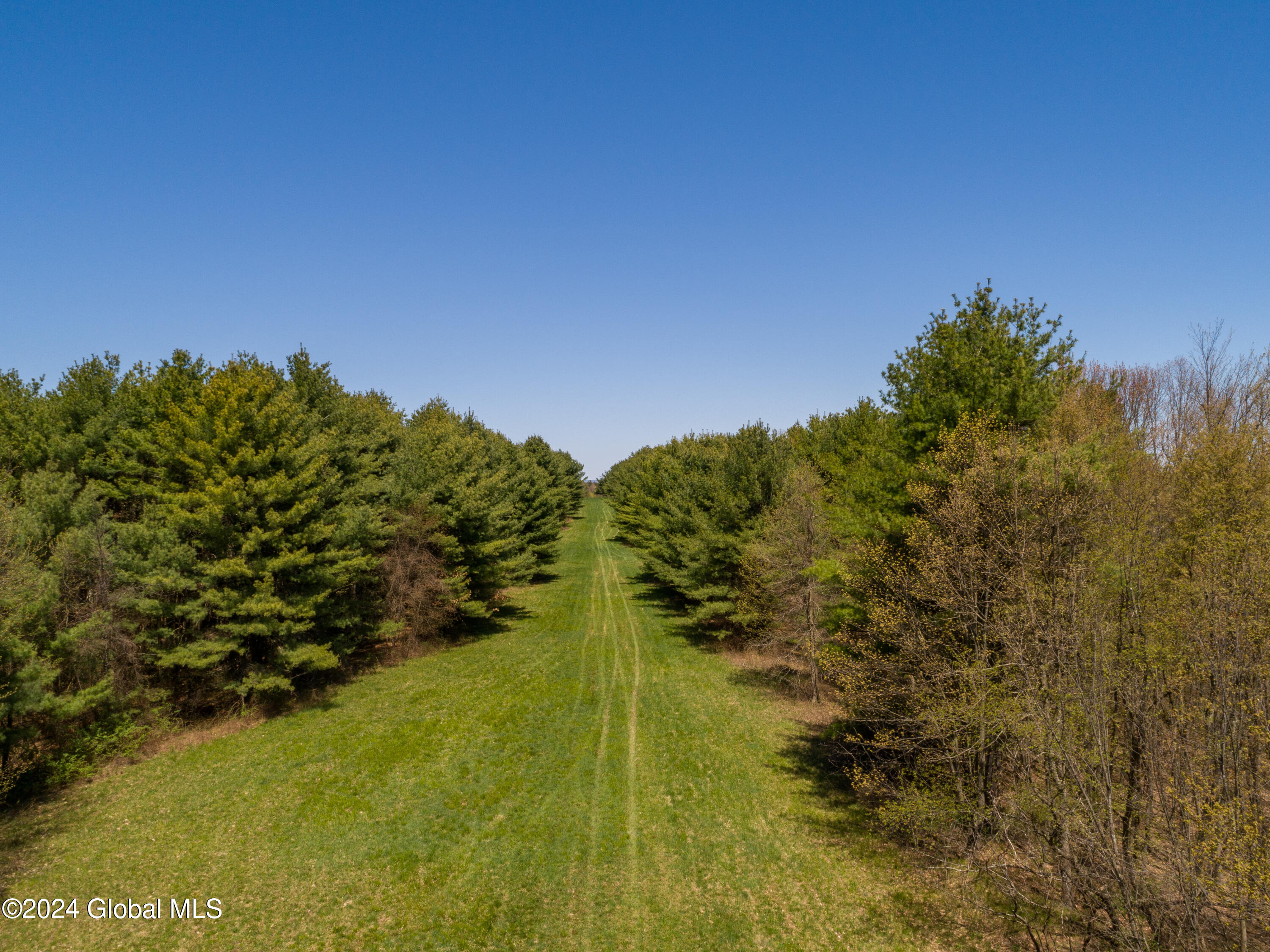 L40.2 Bullock Road, Slingerlands, New York image 4