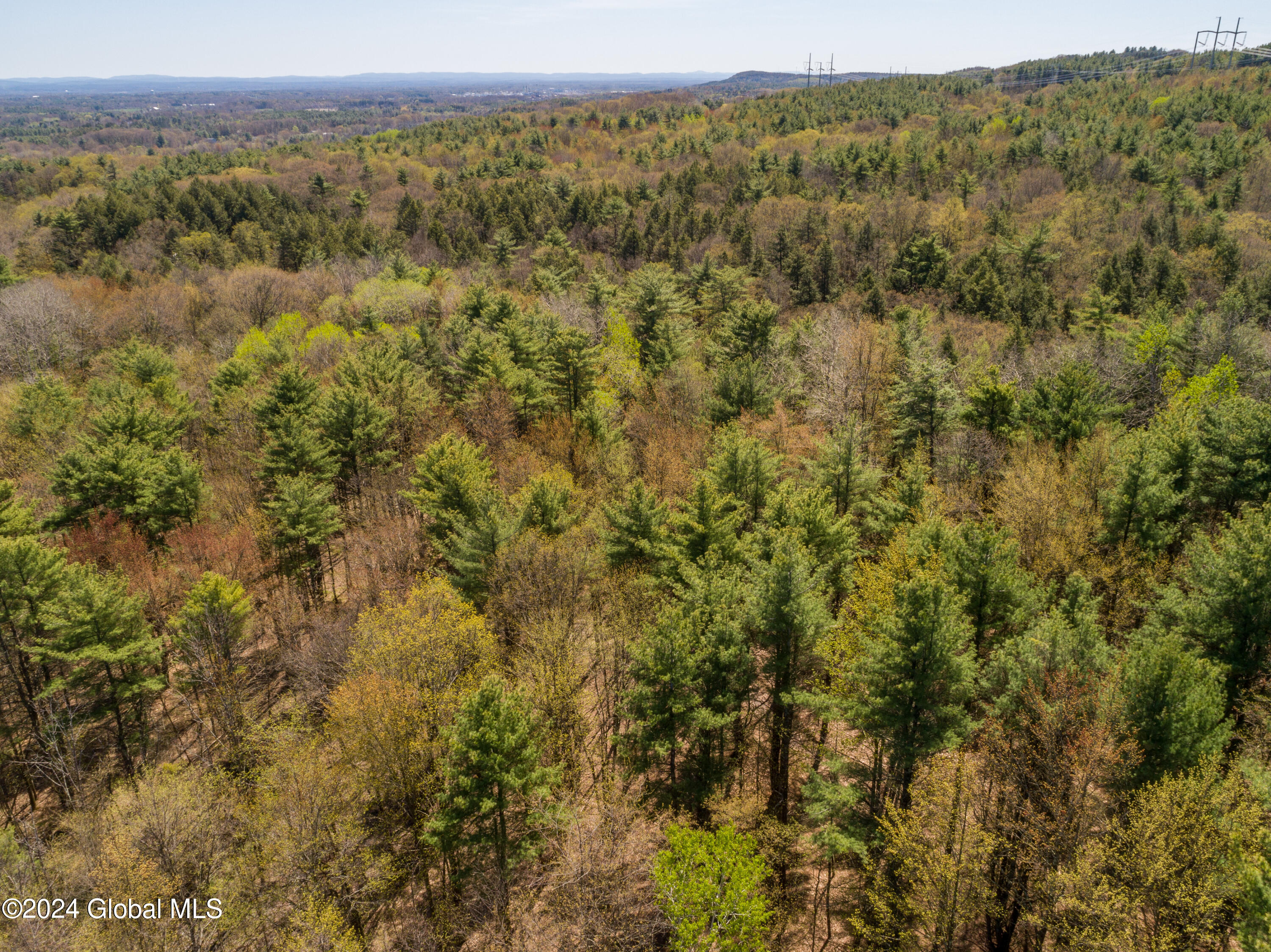 L40.2 Bullock Road, Slingerlands, New York image 15