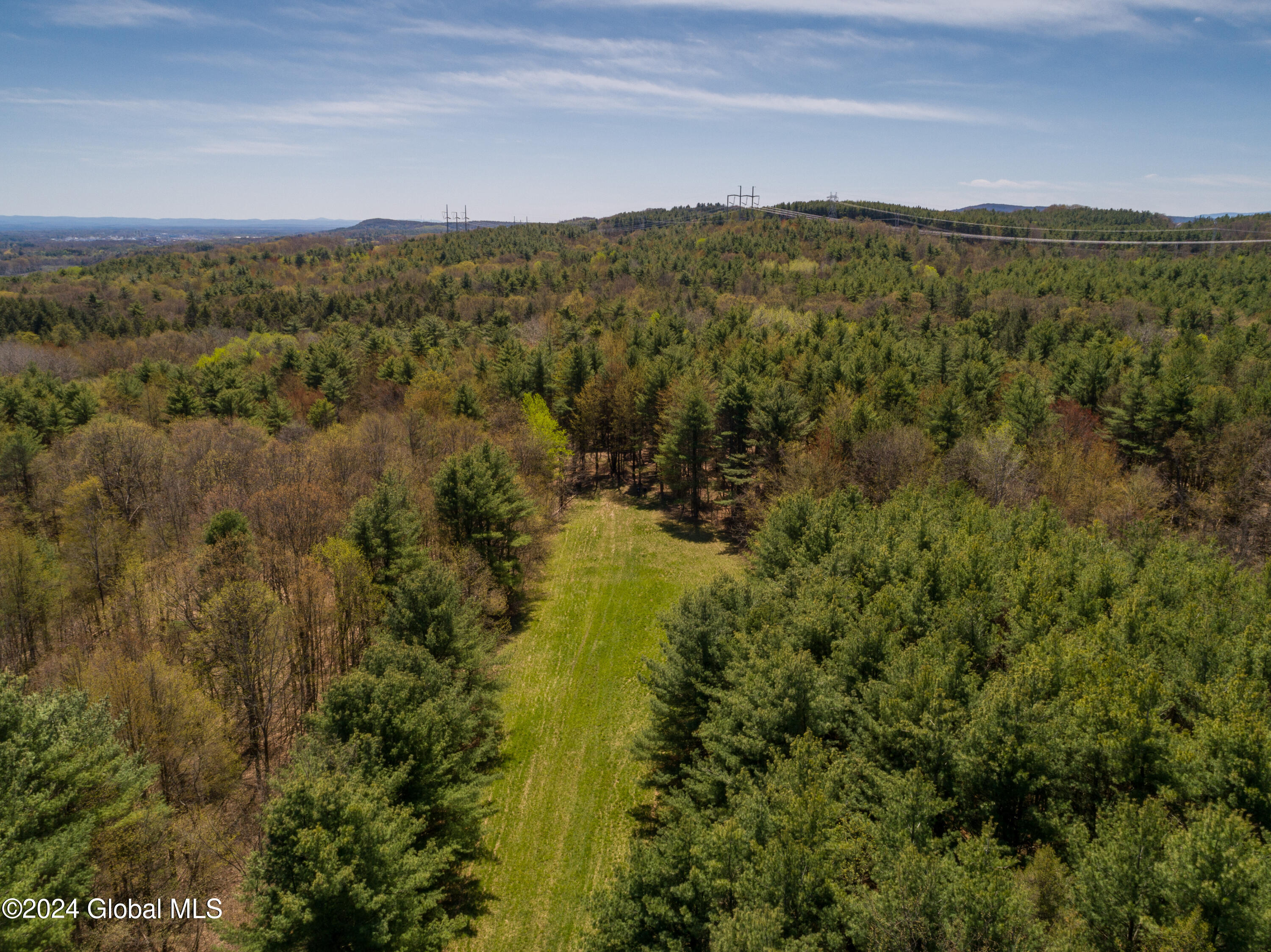 L40.2 Bullock Road, Slingerlands, New York image 7