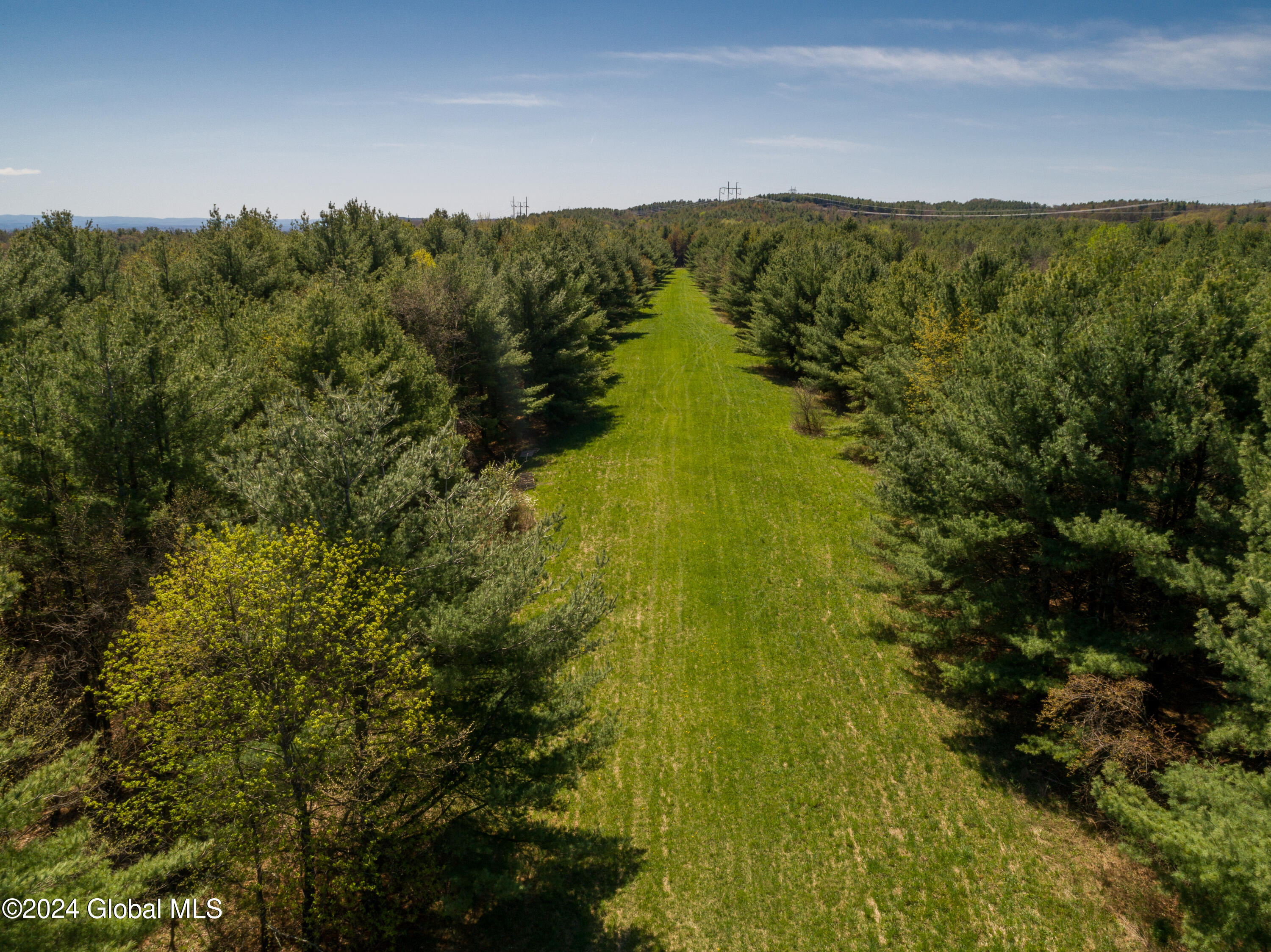 L40.2 Bullock Road, Slingerlands, New York image 2