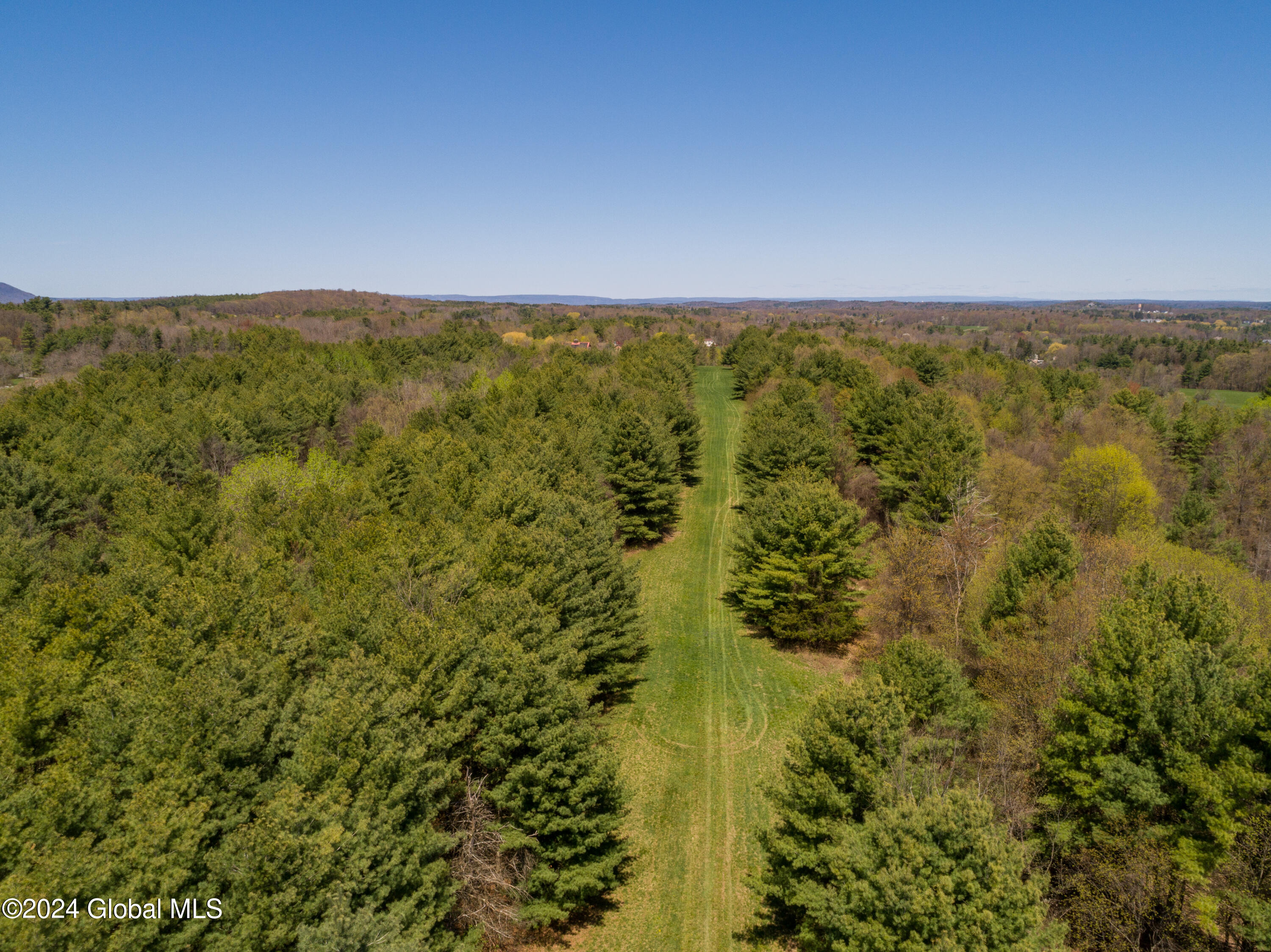 L40.2 Bullock Road, Slingerlands, New York image 8