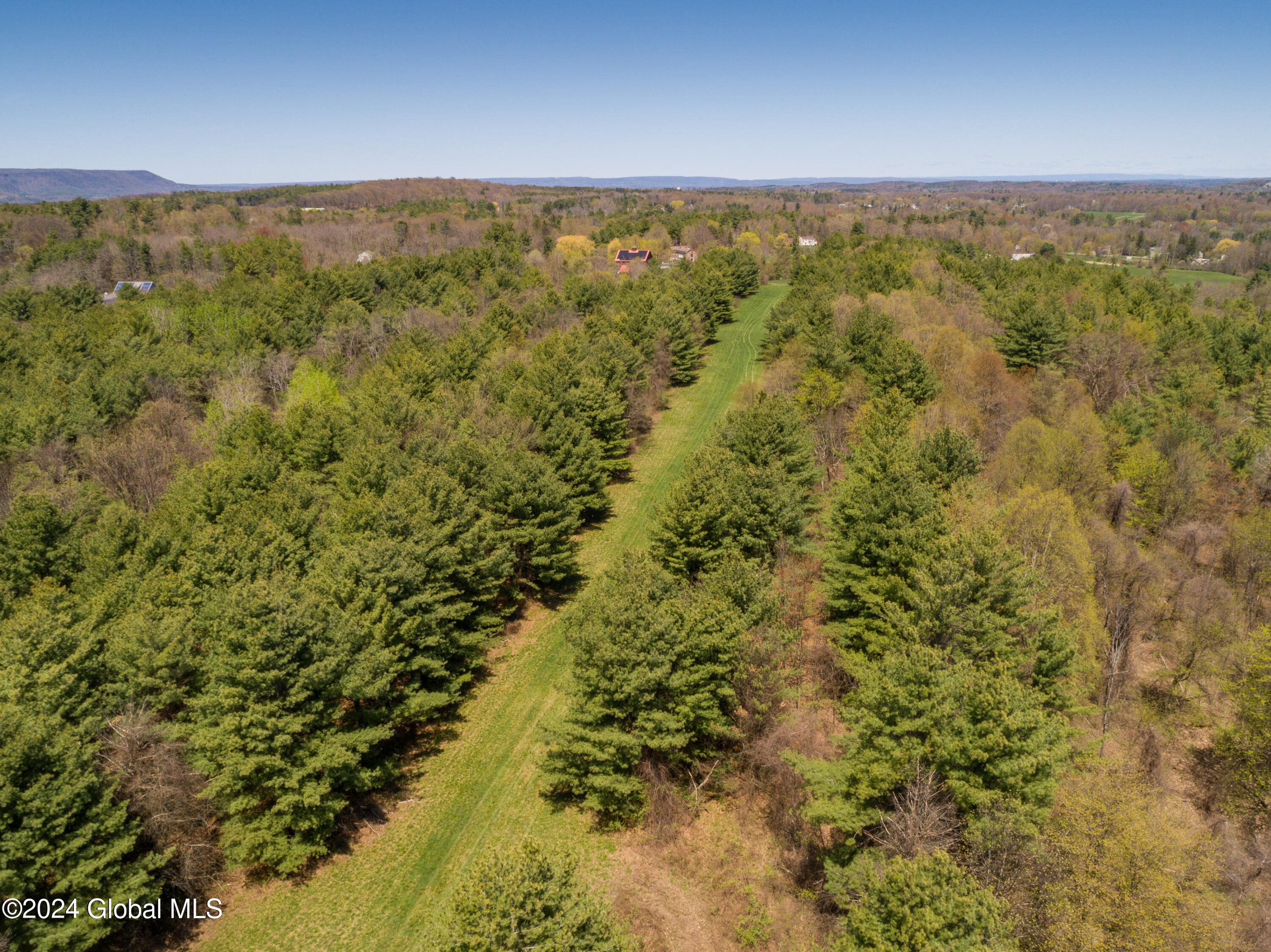 L40.2 Bullock Road, Slingerlands, New York image 10