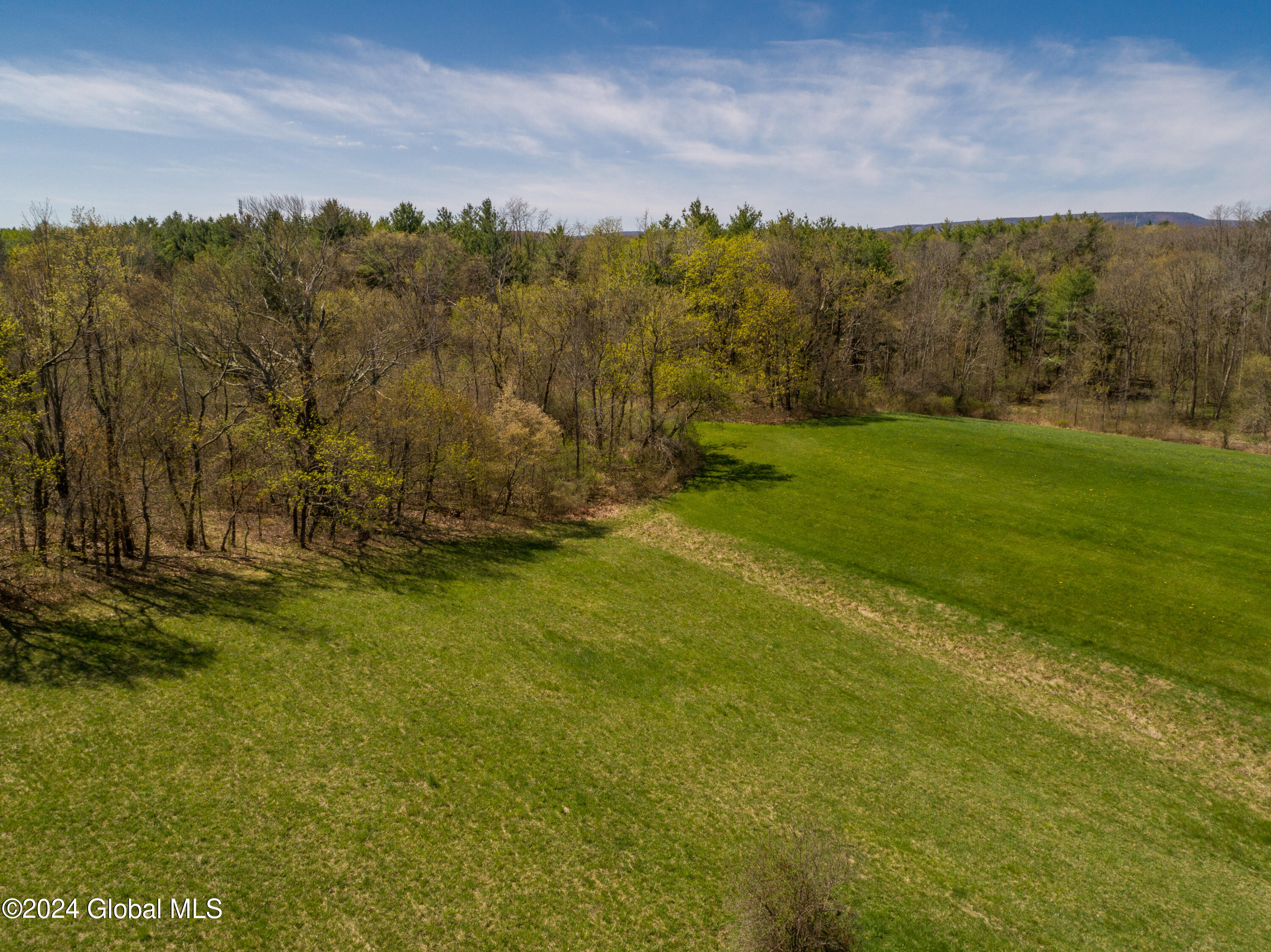 L40.2 Bullock Road, Slingerlands, New York image 5