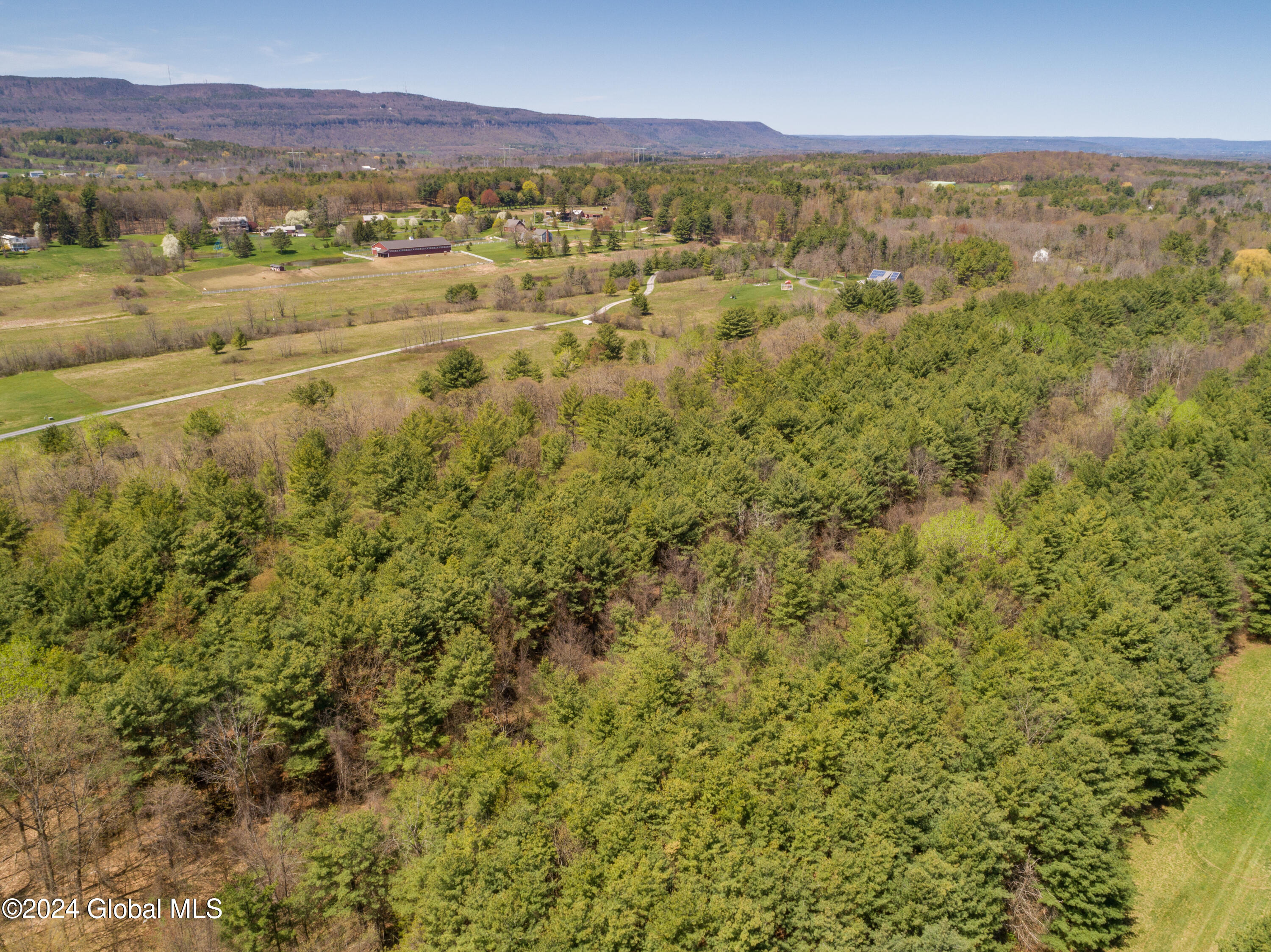 L40.2 Bullock Road, Slingerlands, New York image 12