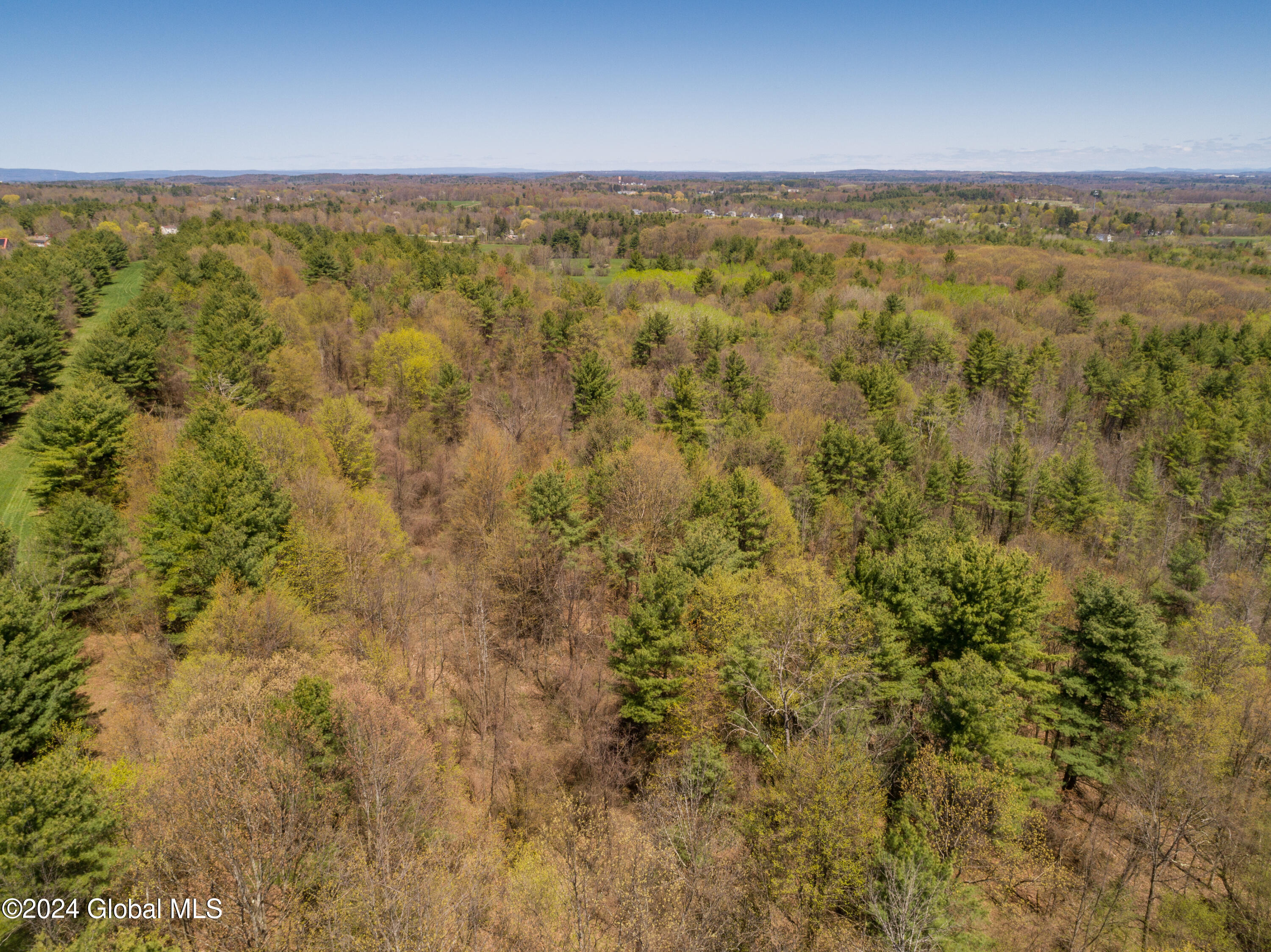 L40.2 Bullock Road, Slingerlands, New York image 14