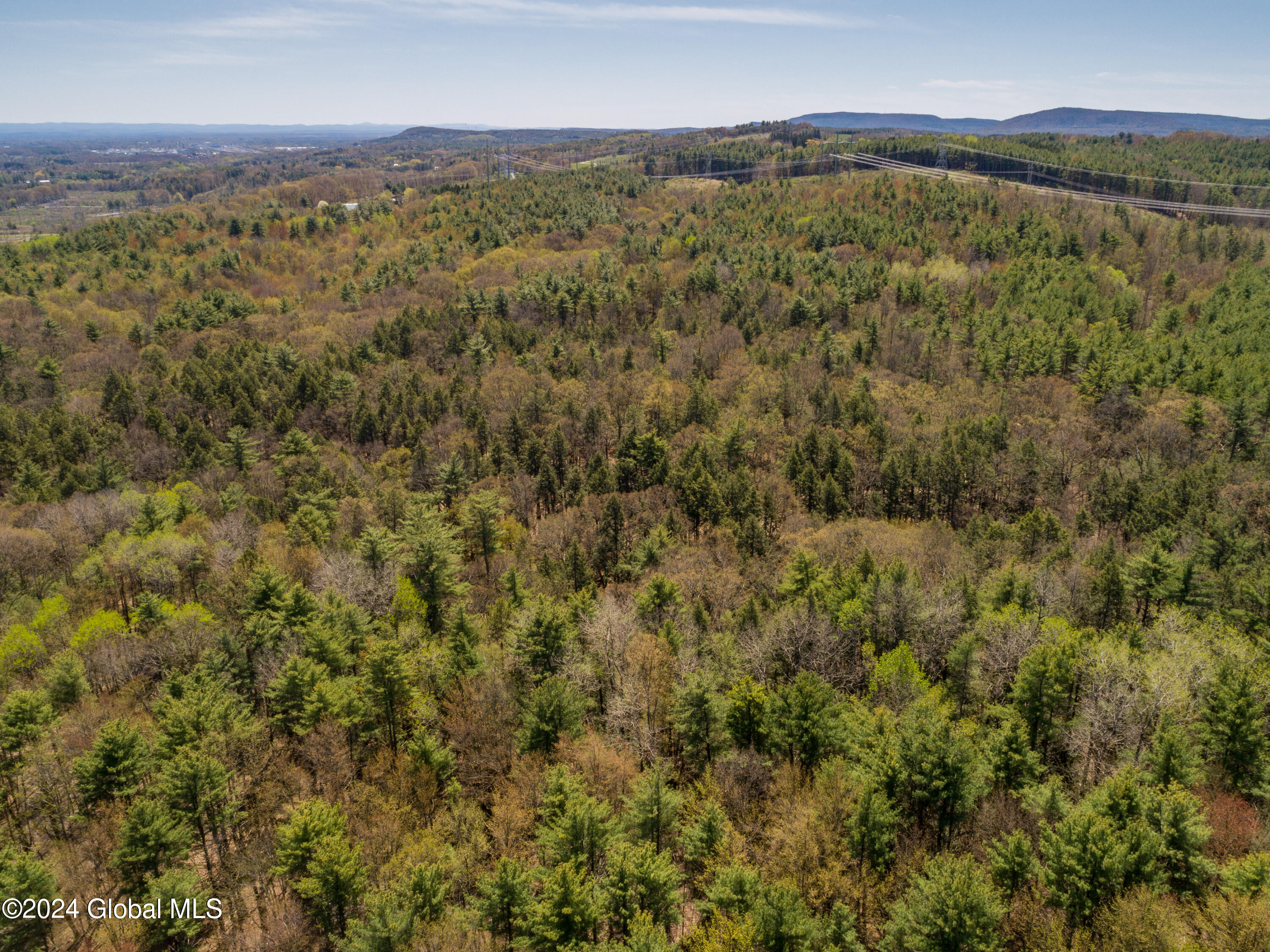 L40.2 Bullock Road, Slingerlands, New York image 16