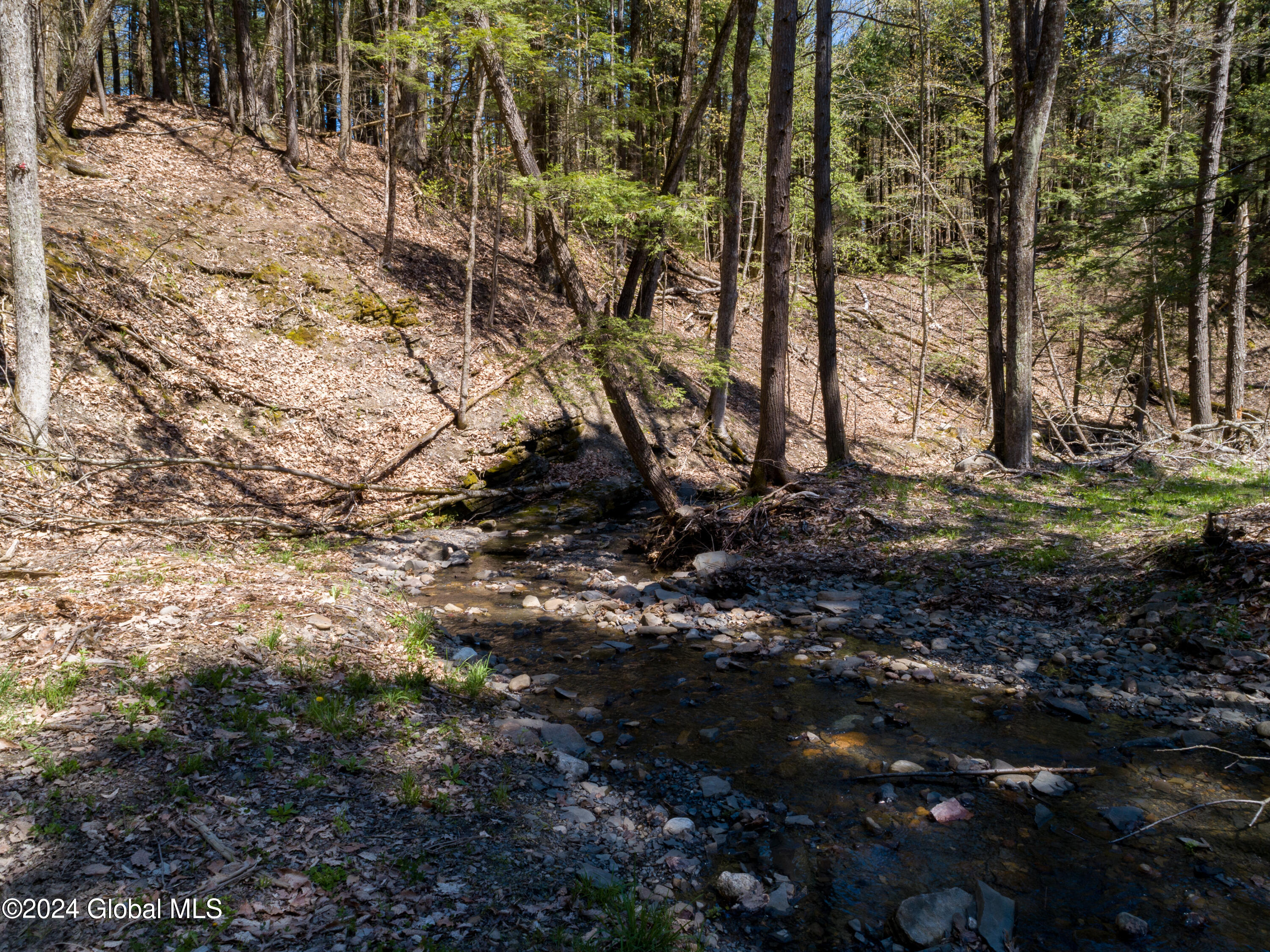 L40.2 Bullock Road, Slingerlands, New York image 19