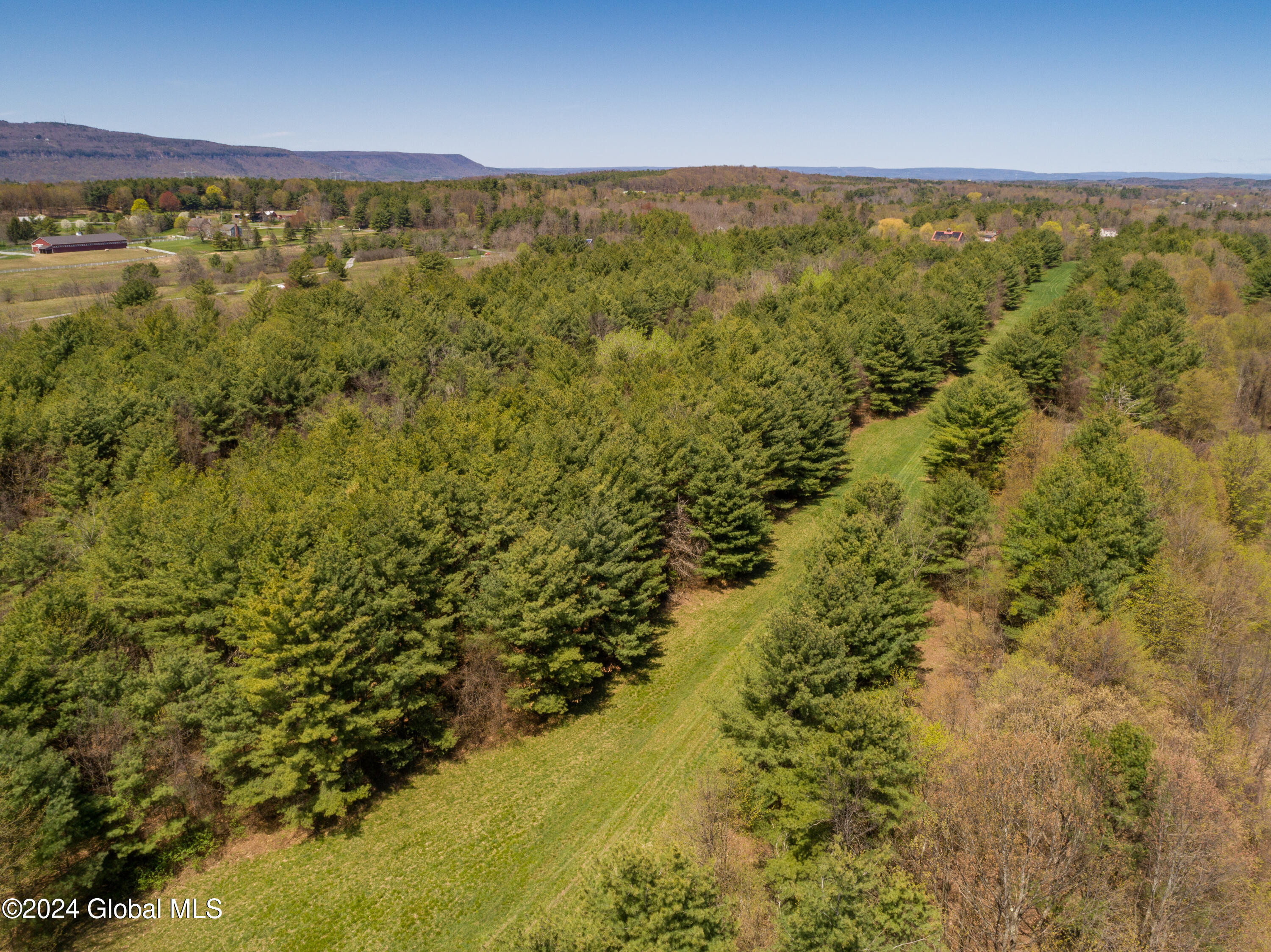 L40.2 Bullock Road, Slingerlands, New York image 9