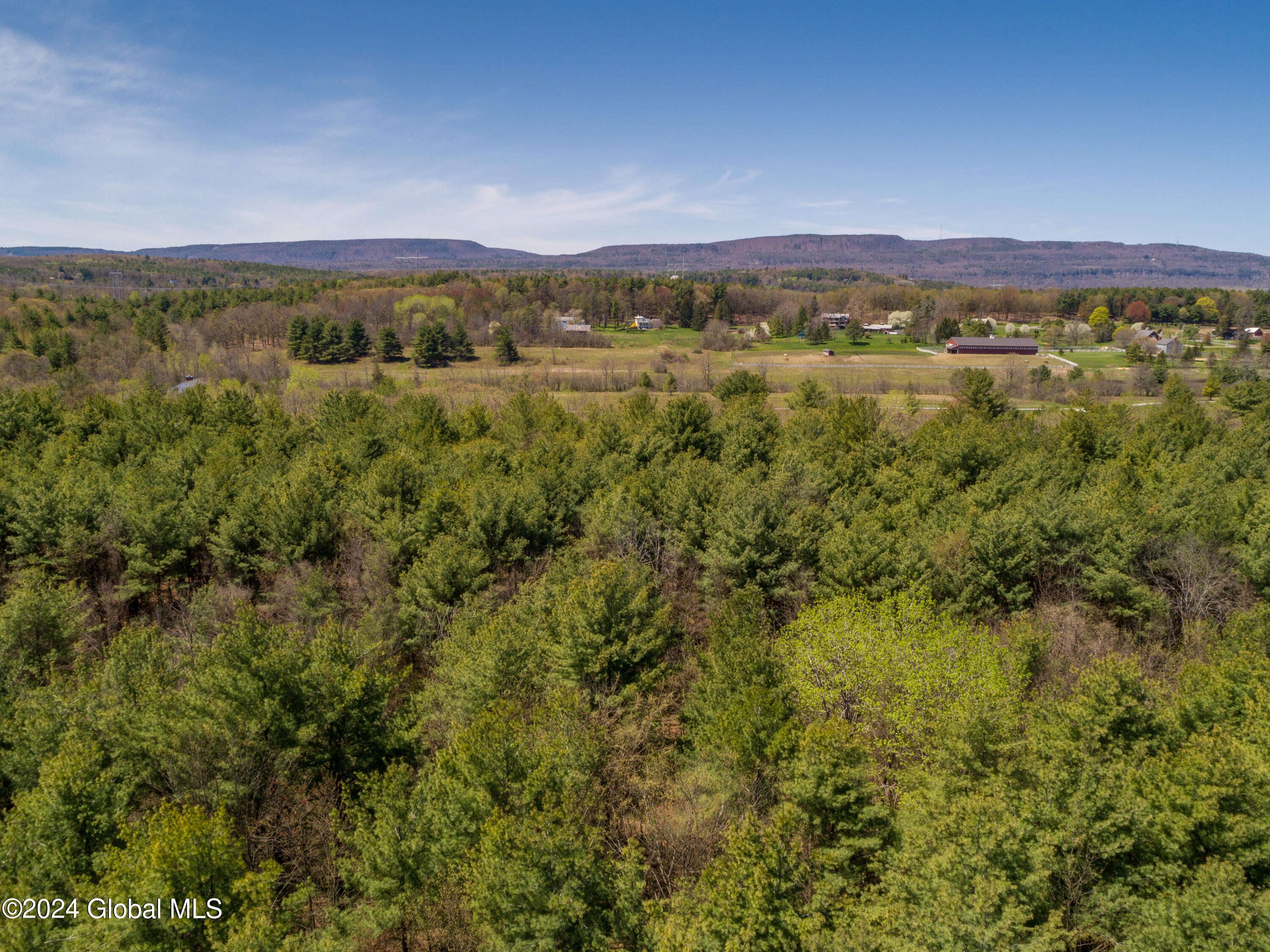 L40.2 Bullock Road, Slingerlands, New York image 13