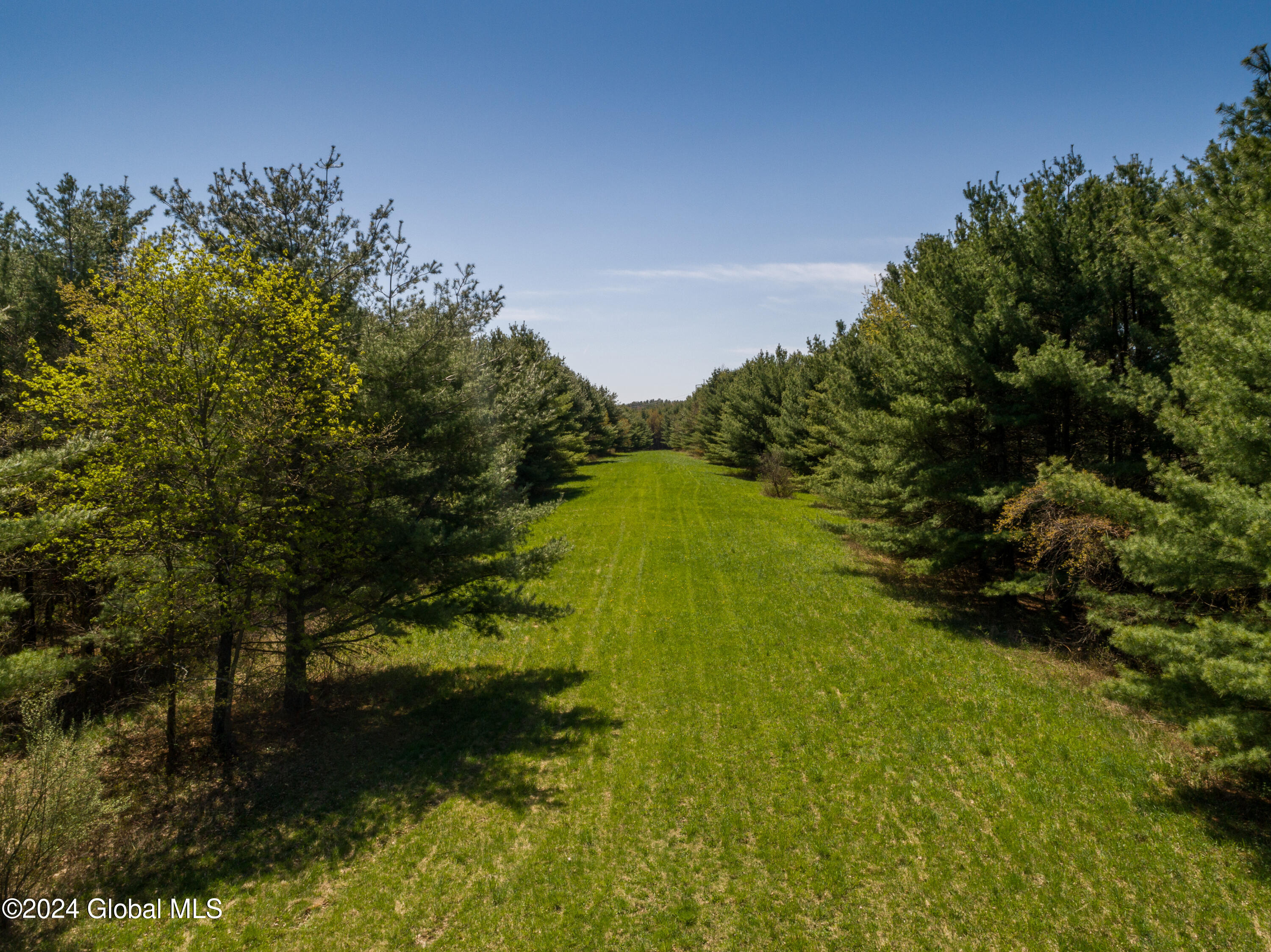 L40.2 Bullock Road, Slingerlands, New York image 1