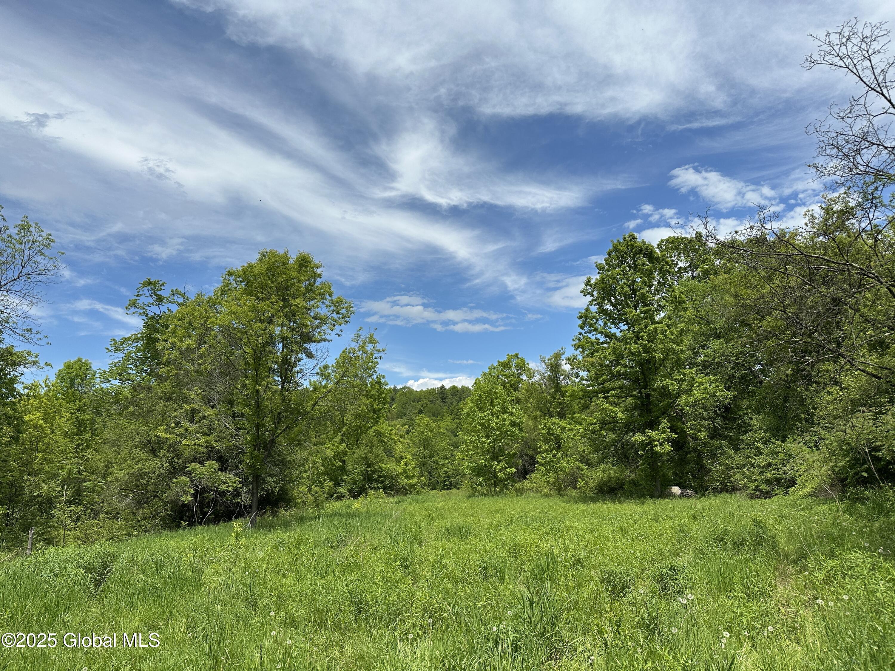 2368 County Route 12, Whitehall, New York image 3