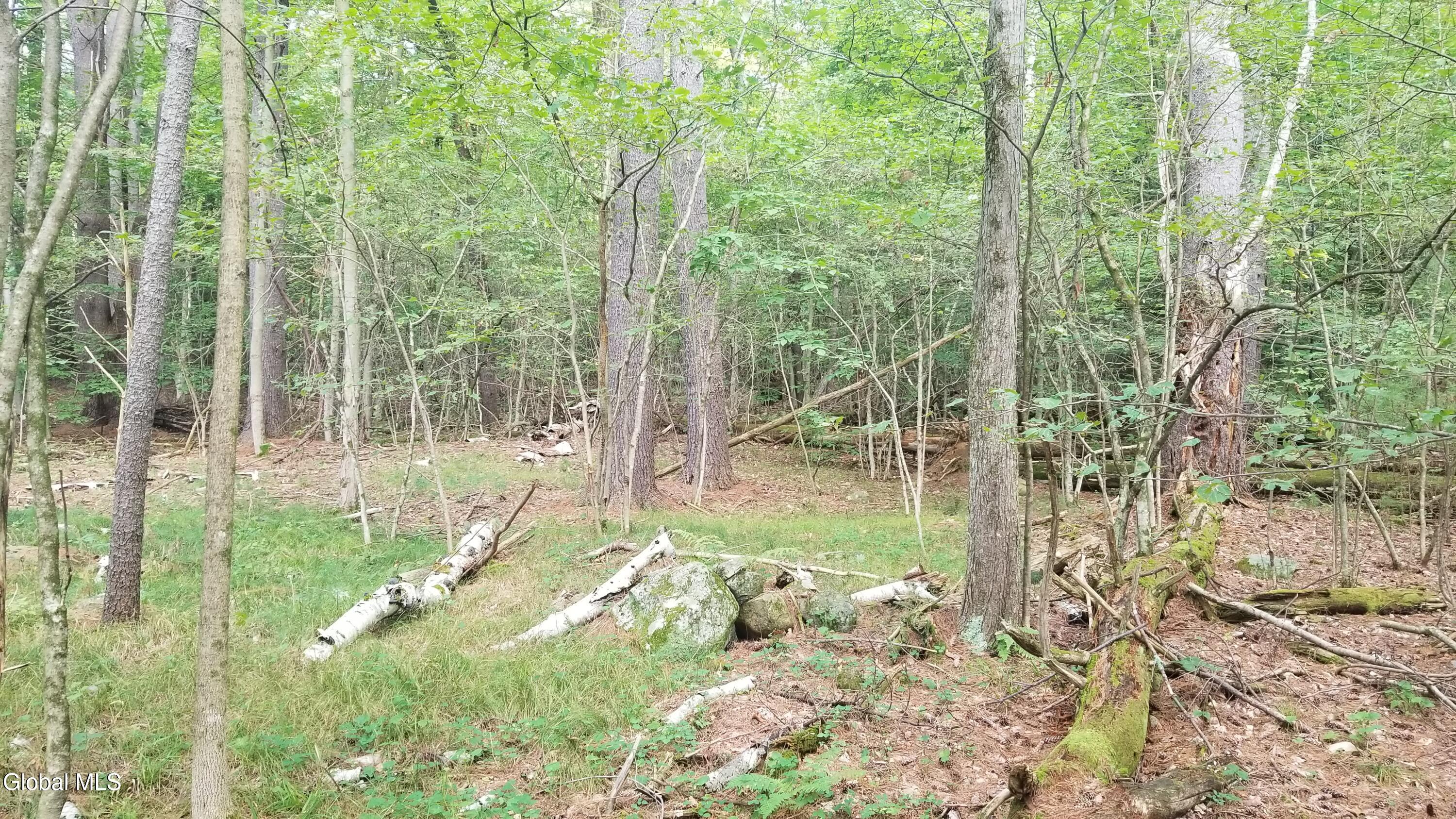 353 Flat Rock Road Lot 3