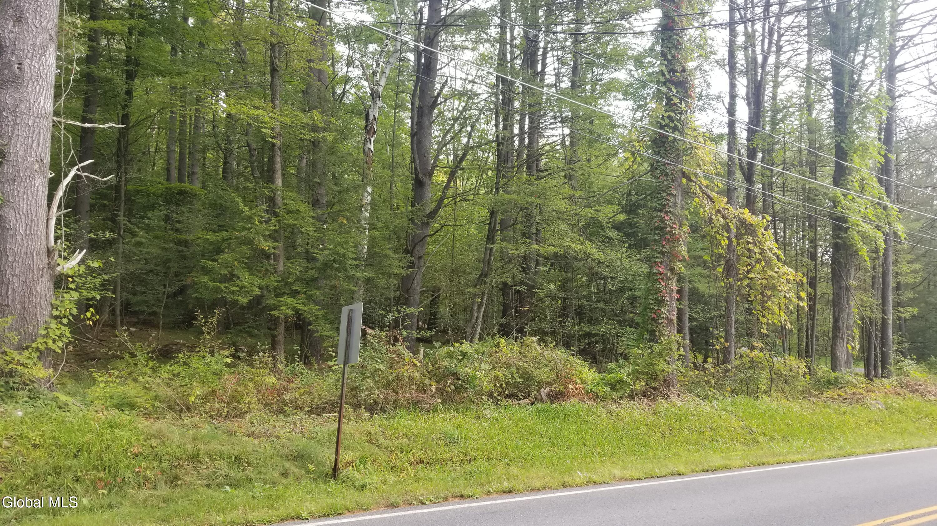 353 Flat Rock Road Lot 3