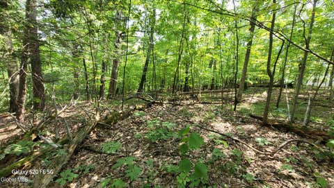 Vacant Land For Sale - 50 Finger Hill Road<br/> Saugerties, NY 12477