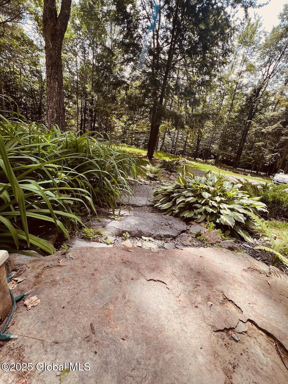 7331 Bills Road, Middle Grove, New York image 47