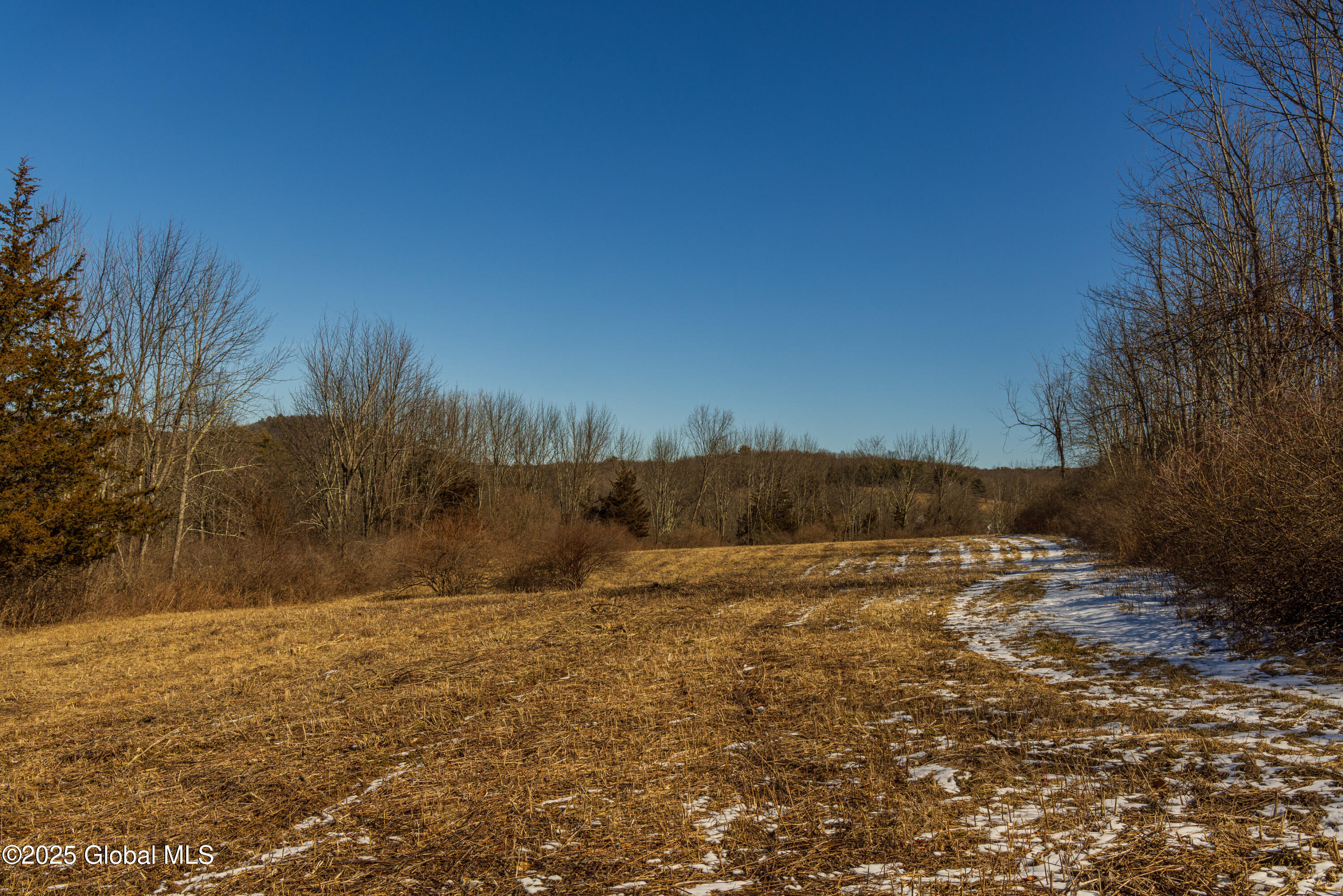 408 State Route 199, Red Hook, New York image 4