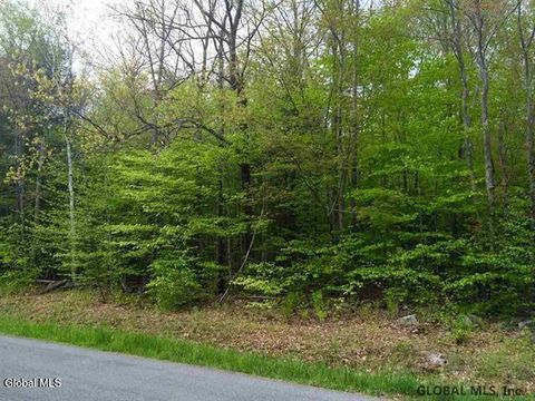 Photo of 404 Toad Point Road, Petersburgh, NY 12138 (MLS # 202616015)