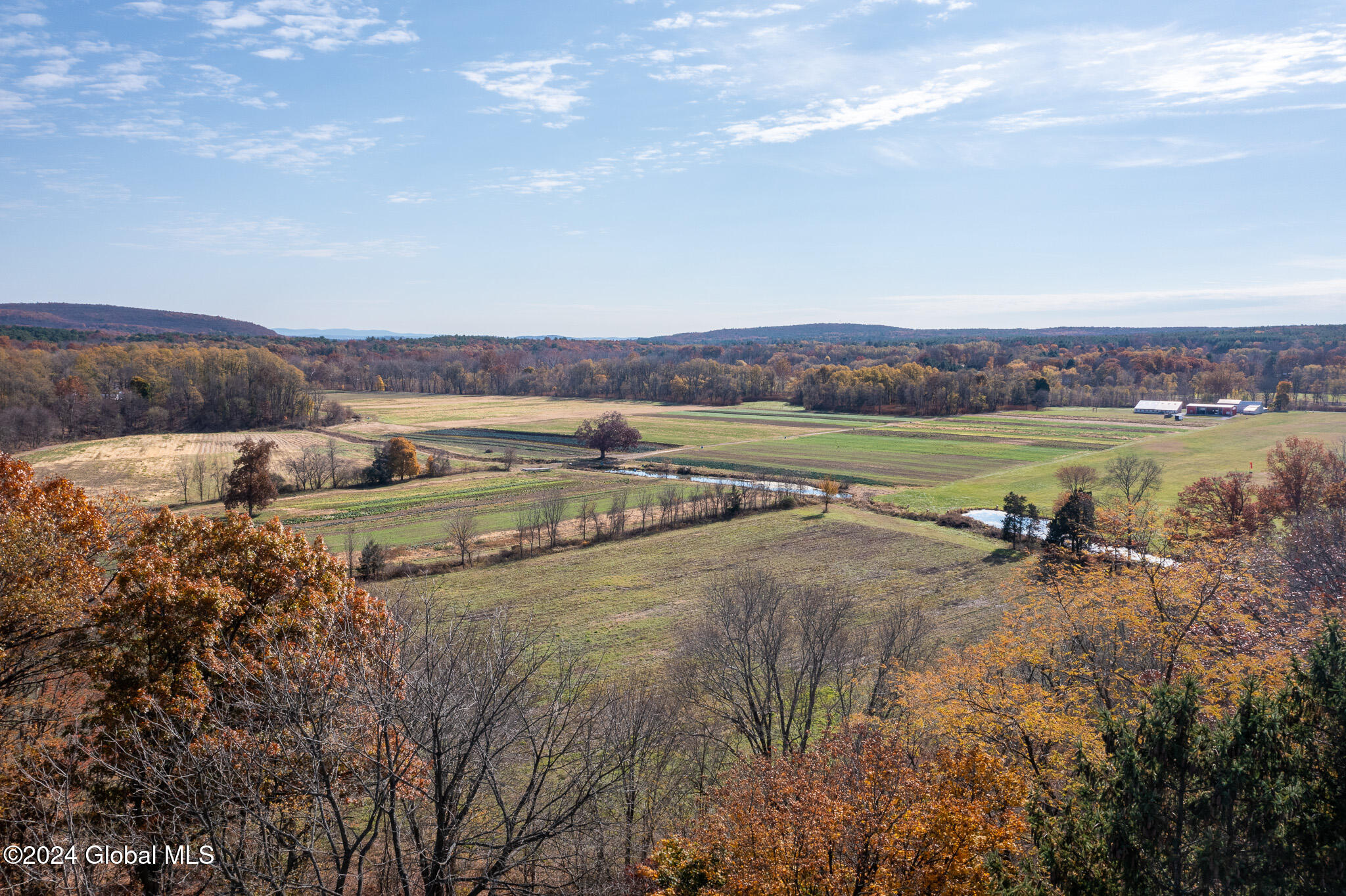 214 County Route 67, Cairo, New York image 2