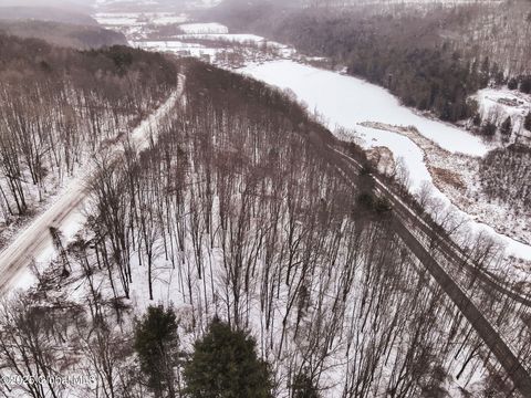 Vacant Land For Sale - L7 Harrison Road<br/> Bath, NY 14810