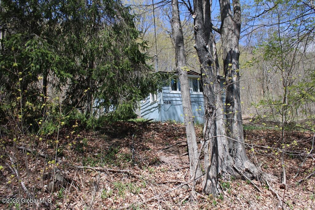 489 Ten Eyck Road Rd, Worcester, New York image 16