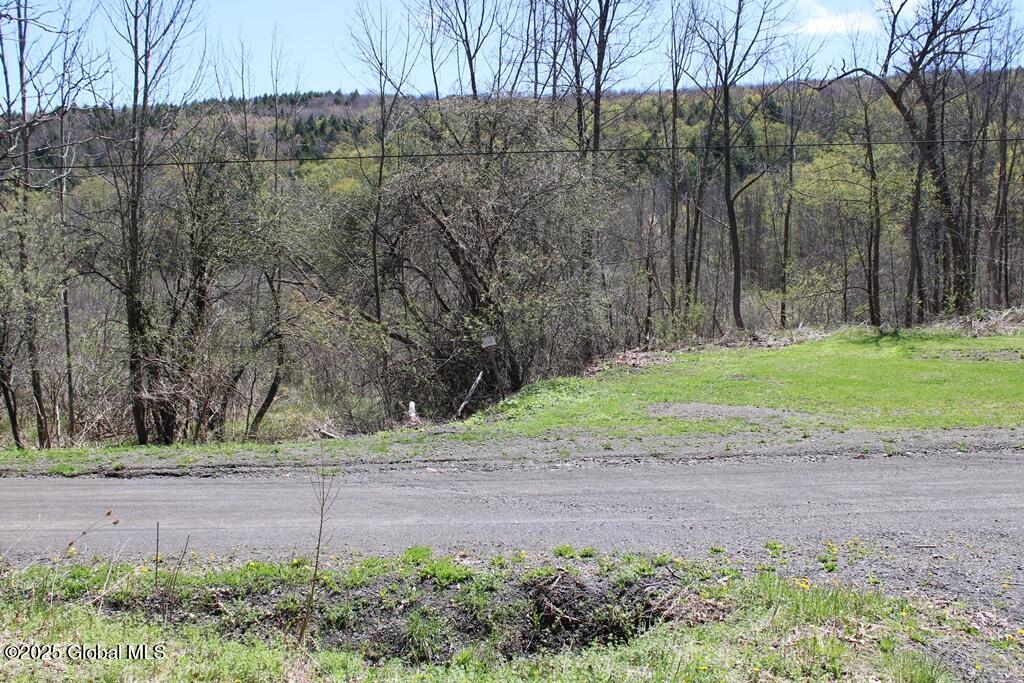 489 Ten Eyck Road Rd, Worcester, New York image 15