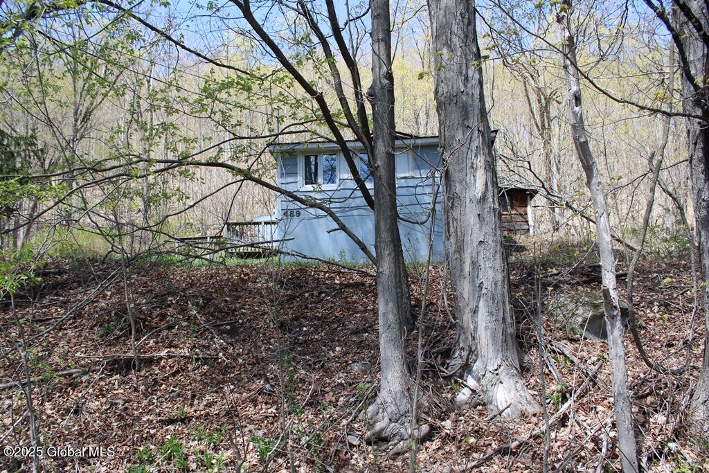 489 Ten Eyck Road Rd, Worcester, New York image 18