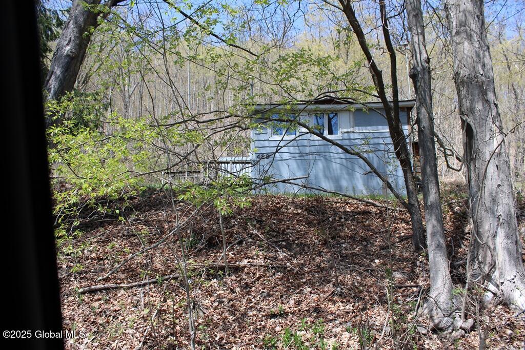 489 Ten Eyck Road Rd, Worcester, New York image 17