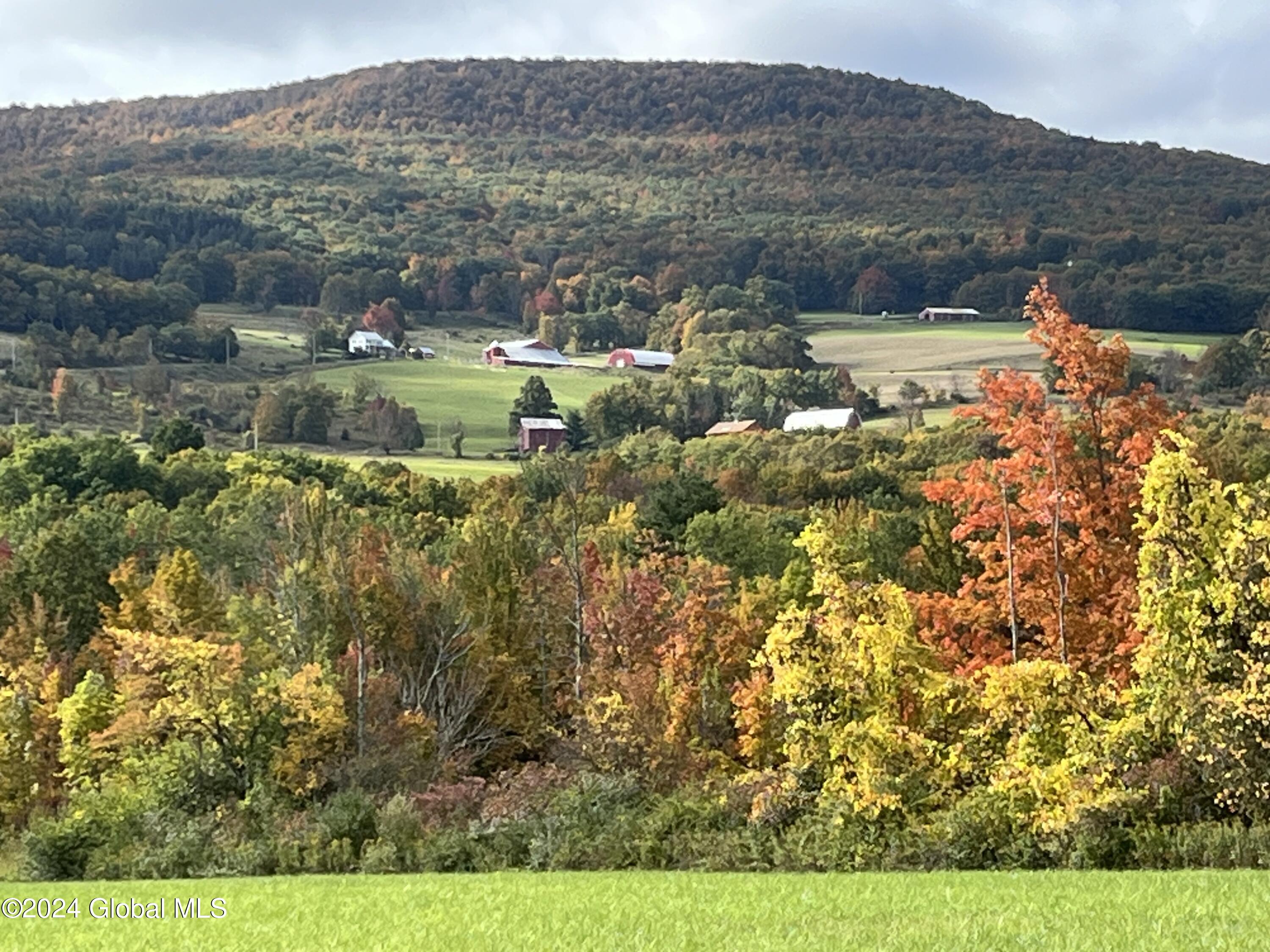 646 Cochrane Rd, Durham, New York image 9