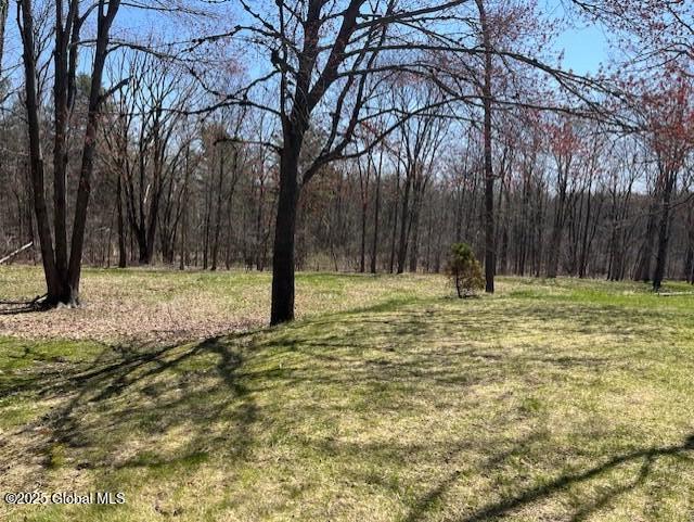 163 Droms Road, Glenville, New York image 5