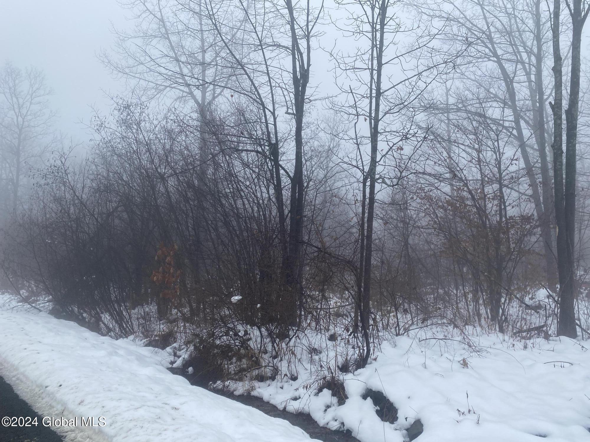 181 Liddle Road #LOT 2, Duanesburg, New York image 4