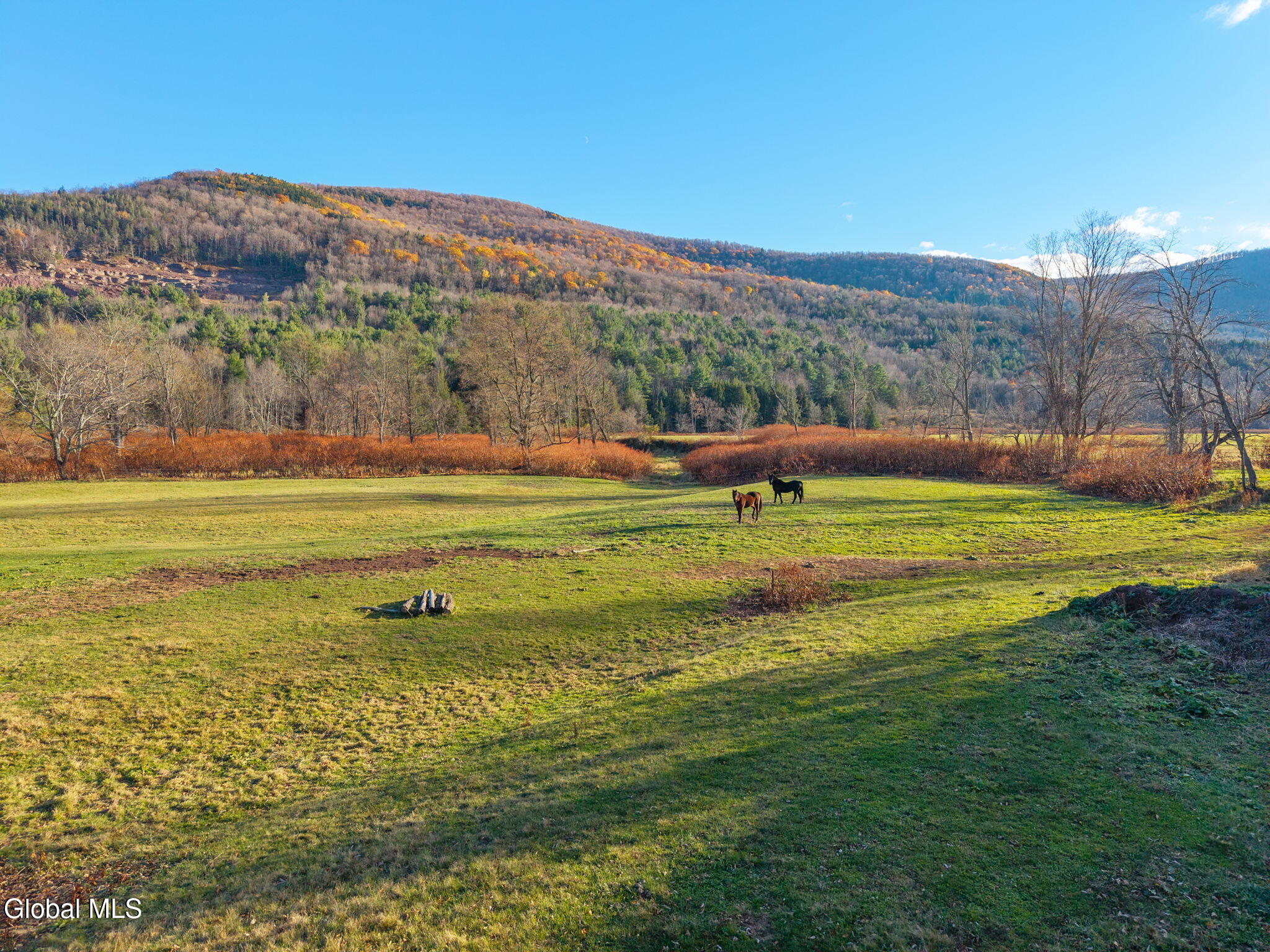 Ashland, New York 12407, United States, 4 Bedrooms Bedrooms, ,3 BathroomsBathrooms,Residential,Active,236773