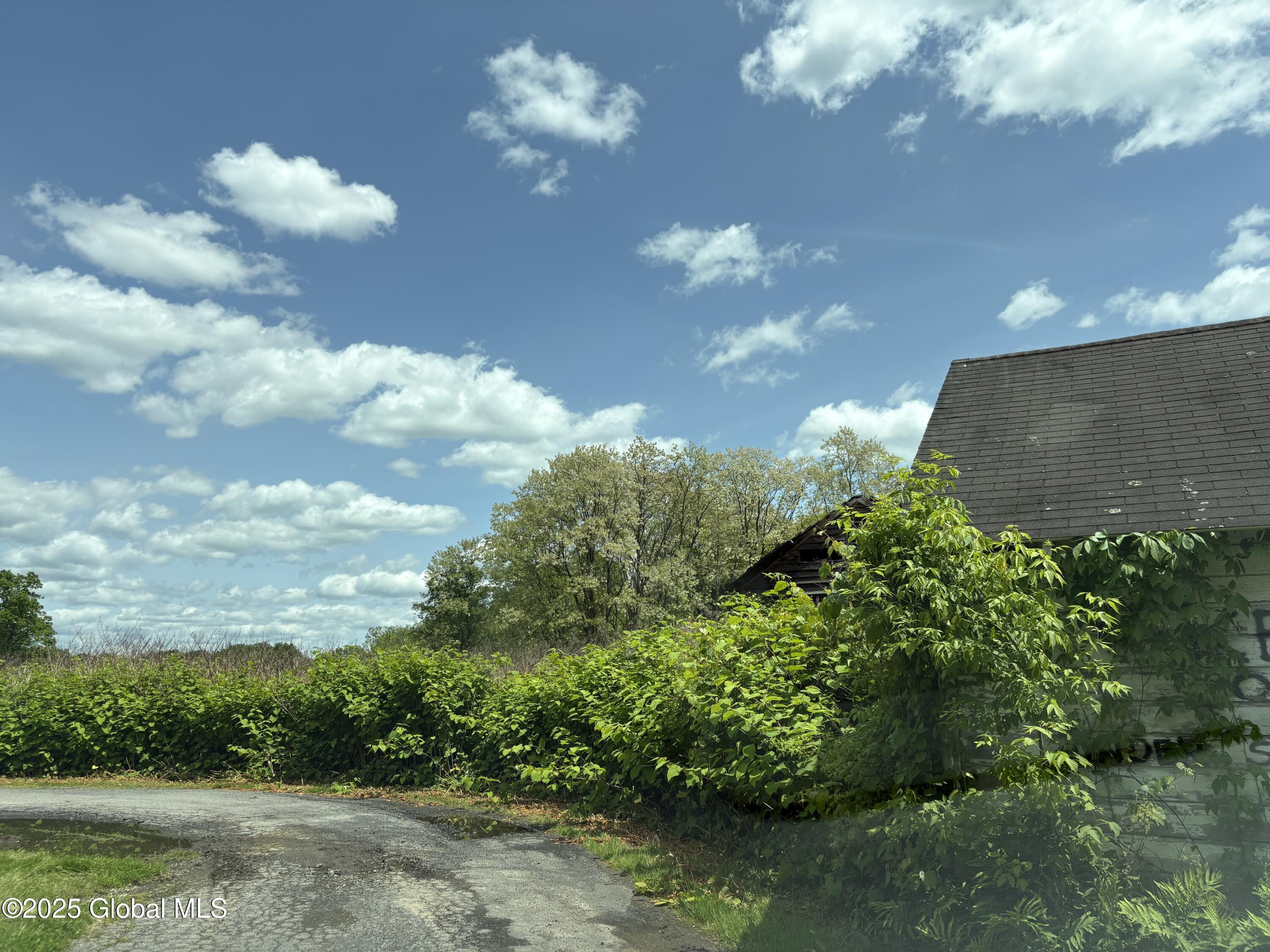 114 North Street, Feura Bush, New York image 3
