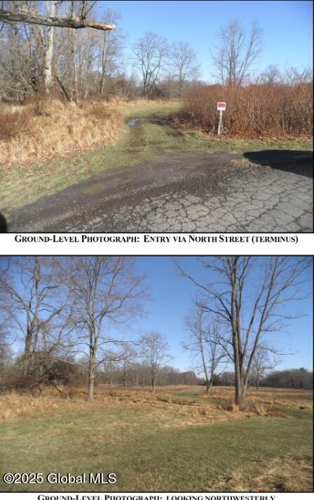 114 North Street, Feura Bush, New York image 5