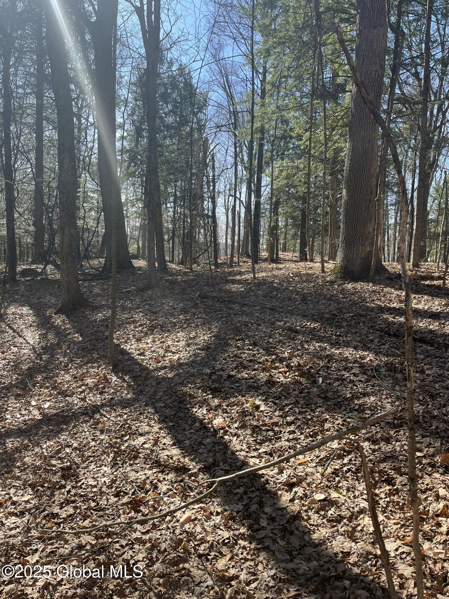 753 Washout Road, Glenville, New York image 11