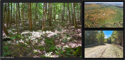 Vacant Land For Sale - 72 Carriage Knoll Road<br/> Chestertown, NY 12817