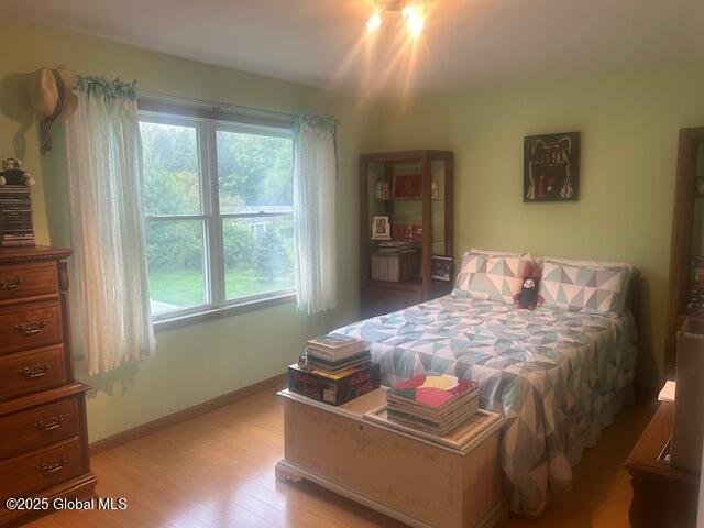 5 Avian Drive, East Greenbush, New York image 16