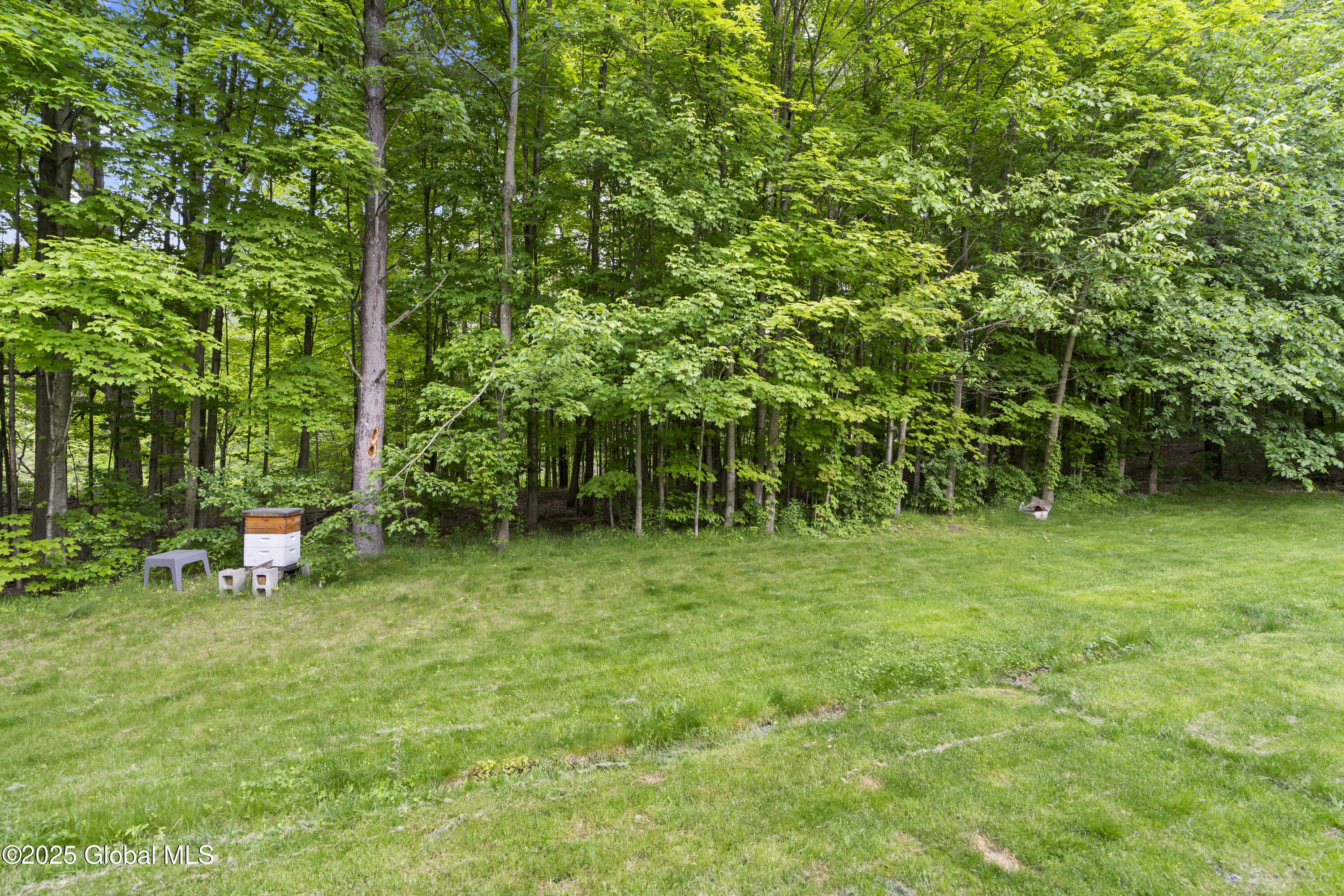 638 Grooms Road, Clifton Park, New York image 43