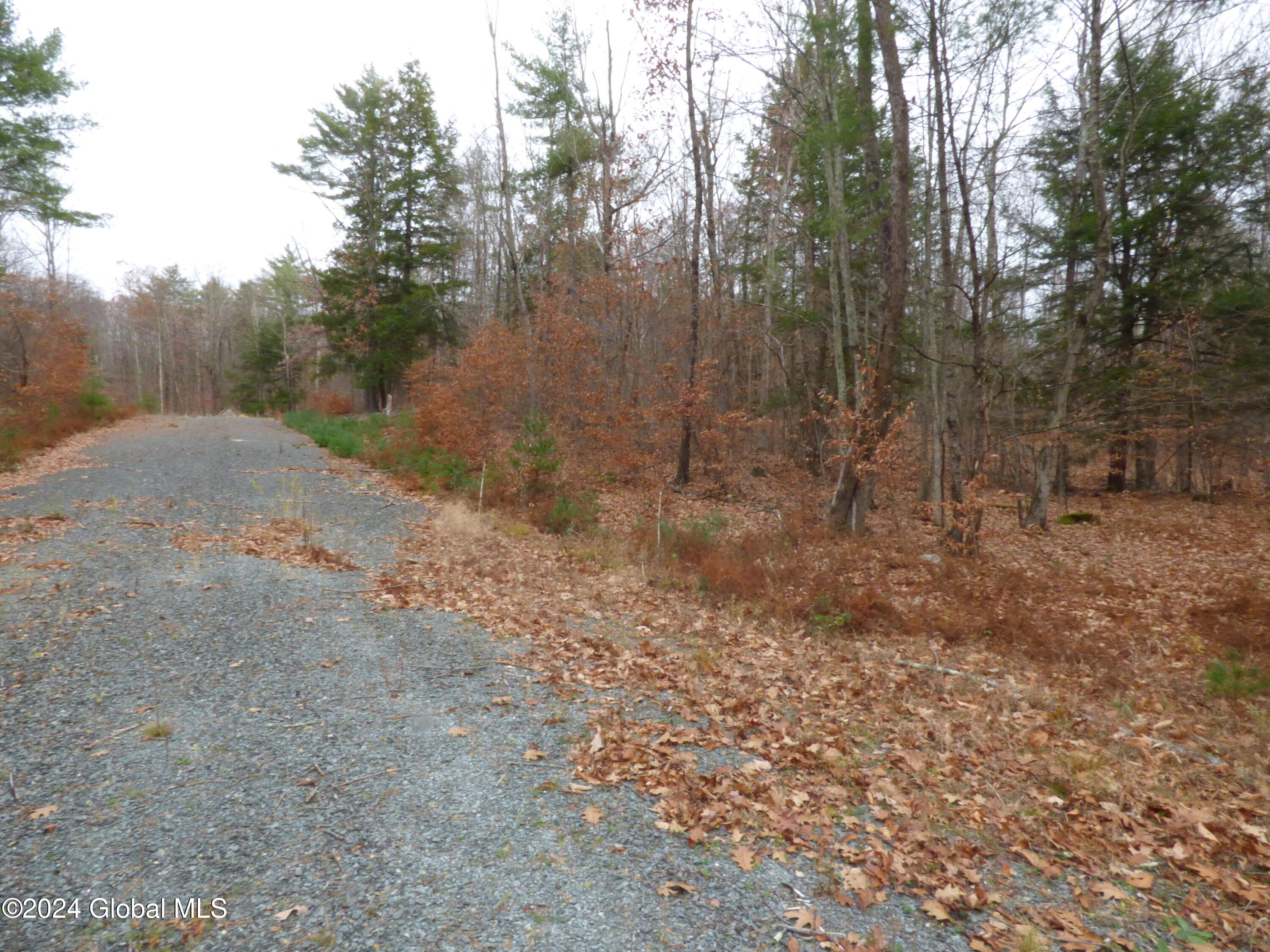 L2.18 Jasmine Road, Stephentown, New York image 9