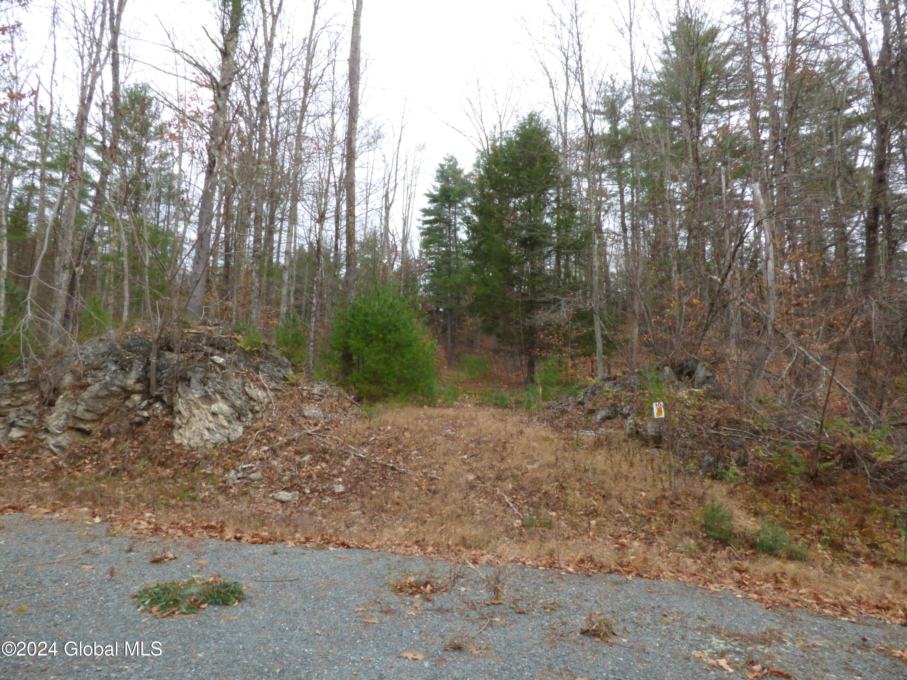 L2.18 Jasmine Road, Stephentown, New York image 6